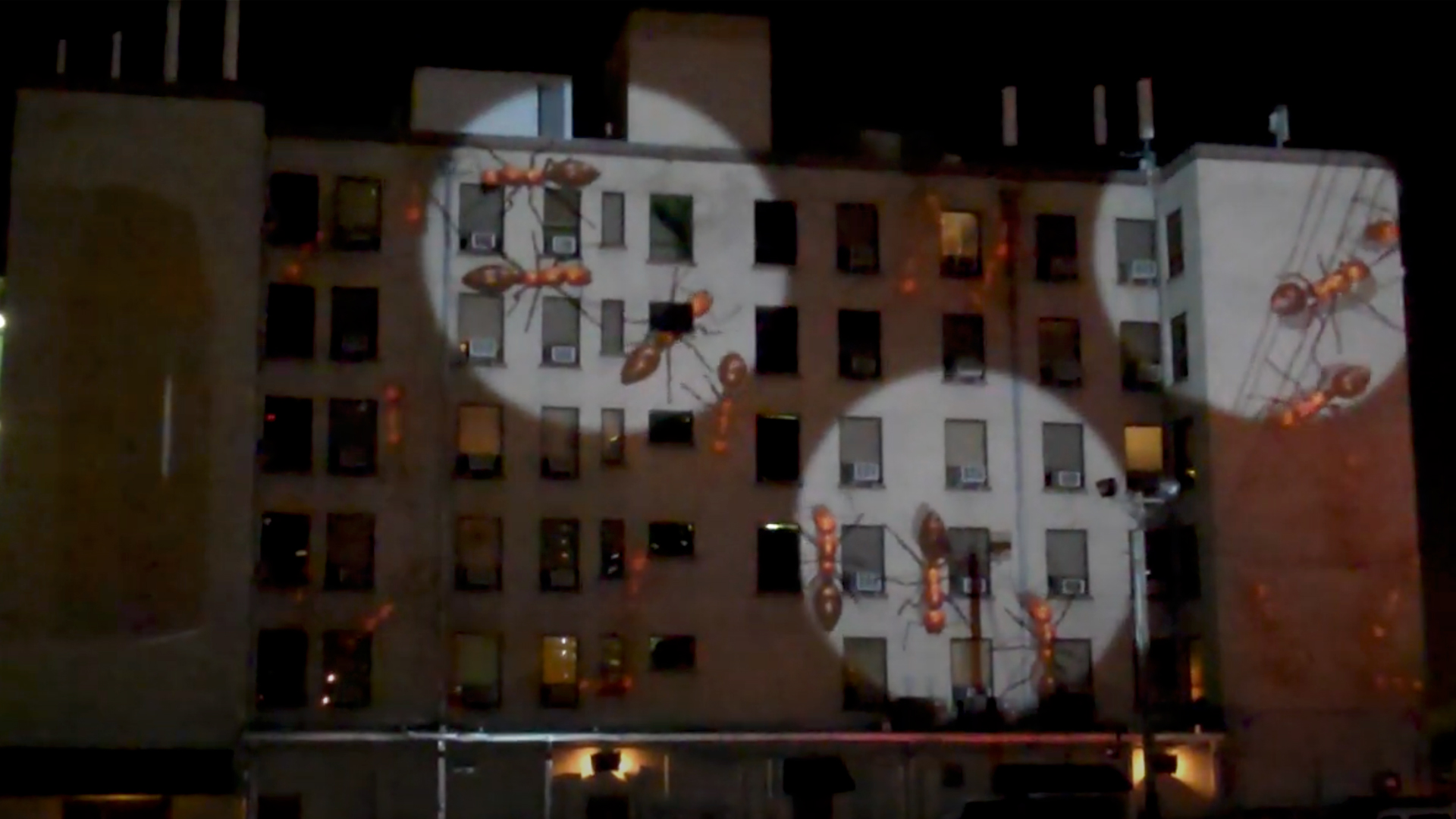 Giant Ants Building Projection